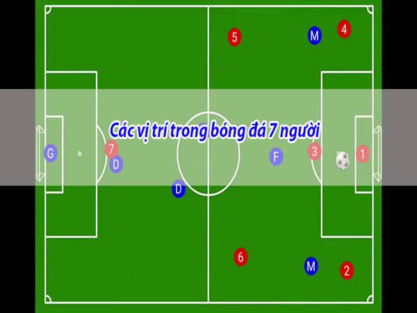 Các vị trí trong bóng đá 7 người không phải ai cũng đều biết