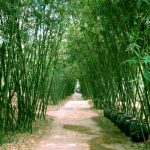 Tin CLB SLNA: SLNA có dám dấn thân khi gặp B.BD