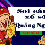 Tin CLB SLNA: SLNA có dám dấn thân khi gặp B.BD