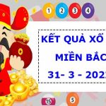 Tin CLB SLNA: SLNA có dám dấn thân khi gặp B.BD