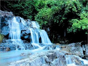 Mơ thấy suối đánh con gì dễ trúng, mang ý nghĩa gì?