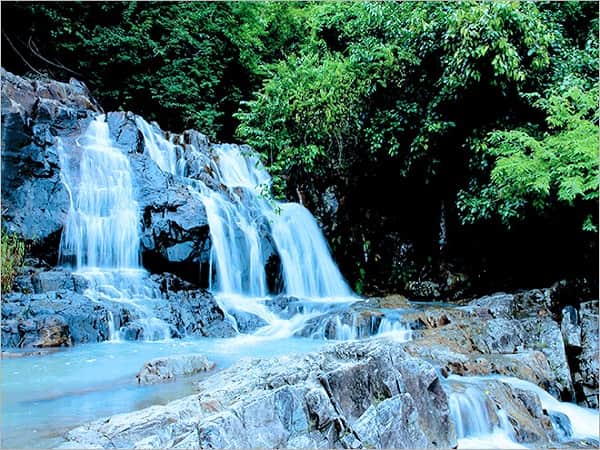 Mơ thấy suối đánh con gì
