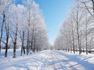 Ngủ mơ thấy mùa đông đánh con gì? Ý nghĩa giấc mơ