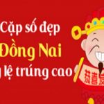 Tin CLB SLNA: SLNA có dám dấn thân khi gặp B.BD