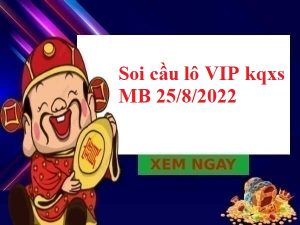 Thống kê lô VIP kqxs miền Bắc 25/8/2022 hôm nay