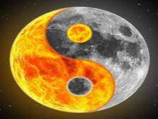 Bị ong vò vẽ đốt nên làm gì?