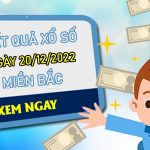 Những huấn luyện viên Man City có ảnh hưởng lớn trong lịch sử