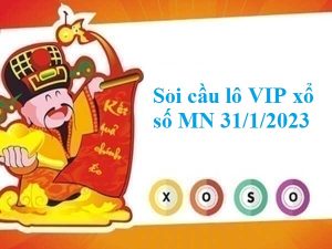 Thống kê lô VIP xổ số MN 31/1/2023 hôm nay