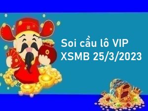 Thống kê lô VIP XSMB 25/3/2023 hôm nay