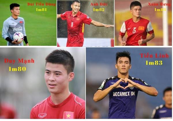 Chiều cao vị trí tiền vệ Việt Nam