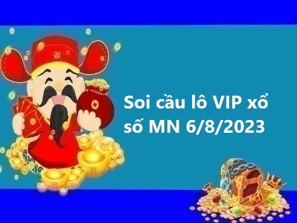 Thống kê lô VIP xổ số MN 6/8/2023 hôm nay