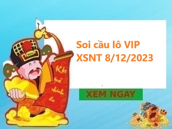 Thống kê lô VIP XSNT 8/12/2023 hôm nay