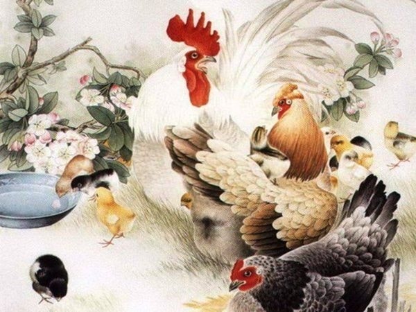 Con số may mắn tuổi Dậu hôm nay ngày 14/1/2024