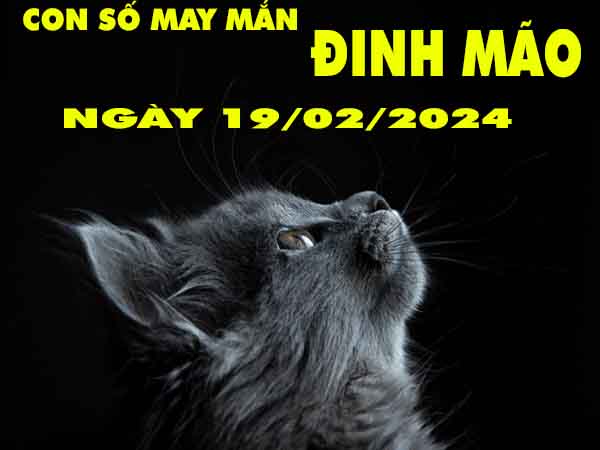 Thống kê con số may mắn tuổi Đinh Mão ngày 19/2/2024