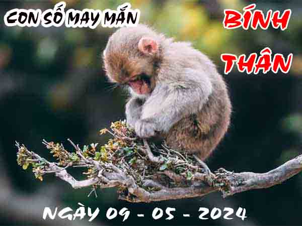 Thông tin con số may mắn tuổi Bính Thân ngày 9/5/2024