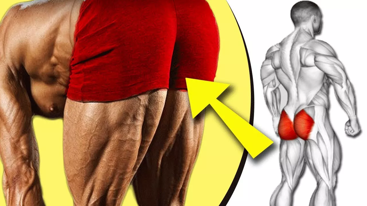 Bài tập mông cho nam để thêm săn chắc cân đối
